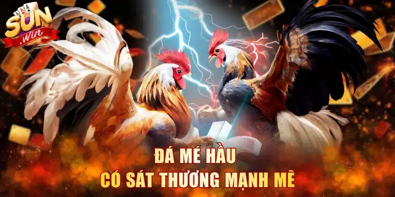 Đá mé hầu có sát thương mạnh mẽ