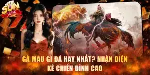 Gà Màu Gì Đá Hay Nhất
